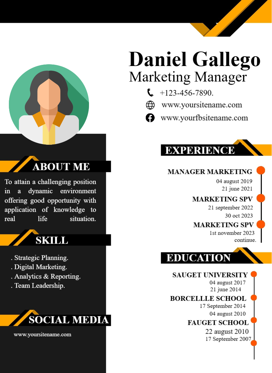 EDITABLE PROFESSIONAL CV