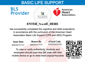BLS Certificate Landscape