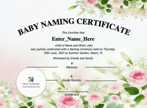Free Colorado Baby Naming Certificate