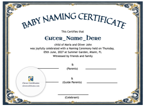 Free Delaware Baby Naming Certificate