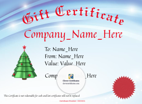 Gift Voucher Business Template