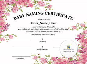 Free Maryland Baby Naming Certificate