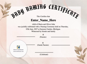 Free Michigan Baby Naming Certificate