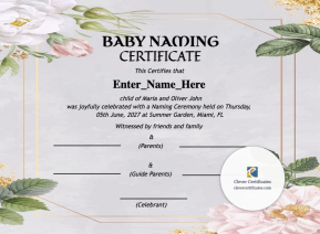 Free Minnesota Baby Naming Certificate