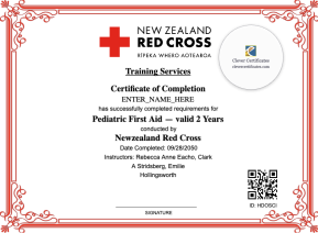 Pediatric First Aid Certificate Landscape