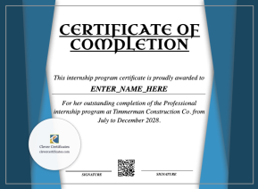Professional Internship Certificate