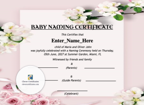 Free South Carolina Baby Naming Certificate