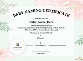 Free Wisconsin Baby Naming Certificate